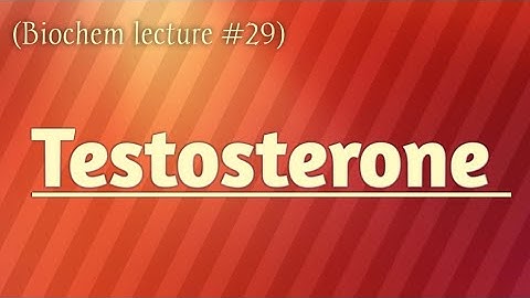 Testosterone  | Nature, release and functions | Urdu lecture | Learn with Aroosa waheed