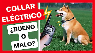 ¿Los collares vibratorios para perros hacen daño?