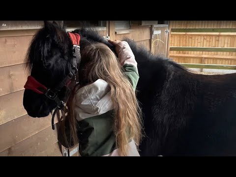 Please help my little girl and her pony feel better and ride again!