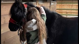 Please help my little girl and her pony feel better and ride again!