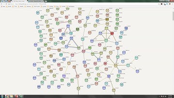 05-02 mRNA Expression Analysis – Pathway Analysis