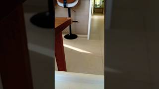 April 23, 2024 Content