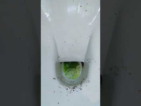 Сложный санузел - уборка