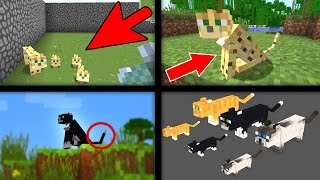 Minecraft Kediler Hakkinda Bilmediginiz 13 Sey Youtube