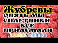 Жубревы /Опять мы- сплетники все придумали //Обзор Влогов //