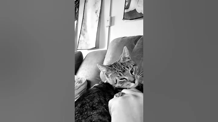 So,....this is Love