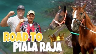 GREBEK MARKAS CIELLO STABLE YOGYAKARTA DAN REVIEW KUDA PACU TAK TERKALAHKAN YAITU QUEEN KAIRO !!