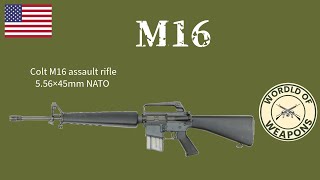 M16 🇺🇸 From Zero to Hero. The rifle that forged a new era