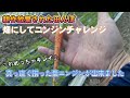 田んぼで人参育てたら98％○○○だった・・・