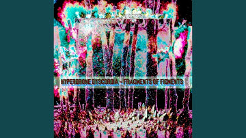 Fossilized x86 Co-Processor Transcriptome (feat. Hyperdrone Dyscordia)