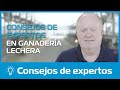 Clasificación: consejos expertos para granjas lecheras