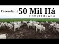 Fazenda de 50 Mil hectares no Pará, ESCRITURADA.