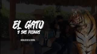 Los Novillos De La Sierra - El Gato Y Sus Felinos [Video Underground]