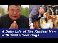 How is His Life after Saving 1,000 Homeless Dogs? How Are the Dogs? (Full Documentary)