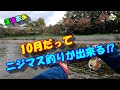 【10月に出来る渓流釣り！】「にじます漁採捕期間延長」ーー寒河江川Ｃ＆Ｒフライフィッシングーー