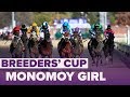 Monomoy girl wins distaff  breeders cup 2018