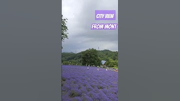 Thumbnail of Lavender garden, Horomitoge #japan