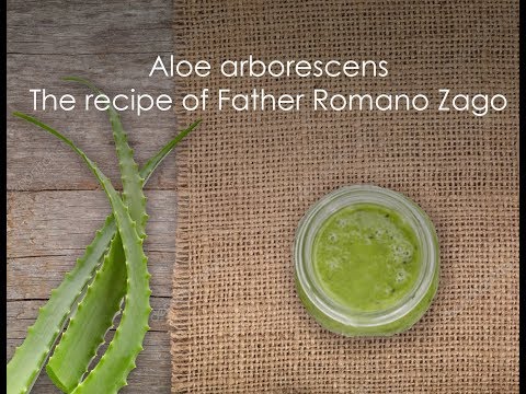 The benefits of aloe arborescens and the recipe of Father Romano Zago