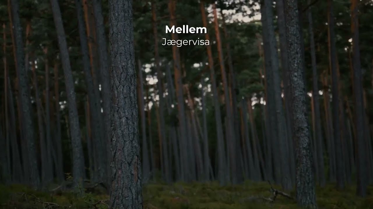 Mellem - Jægervisa