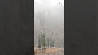 Chitral sees first snowfall of the season #shorts