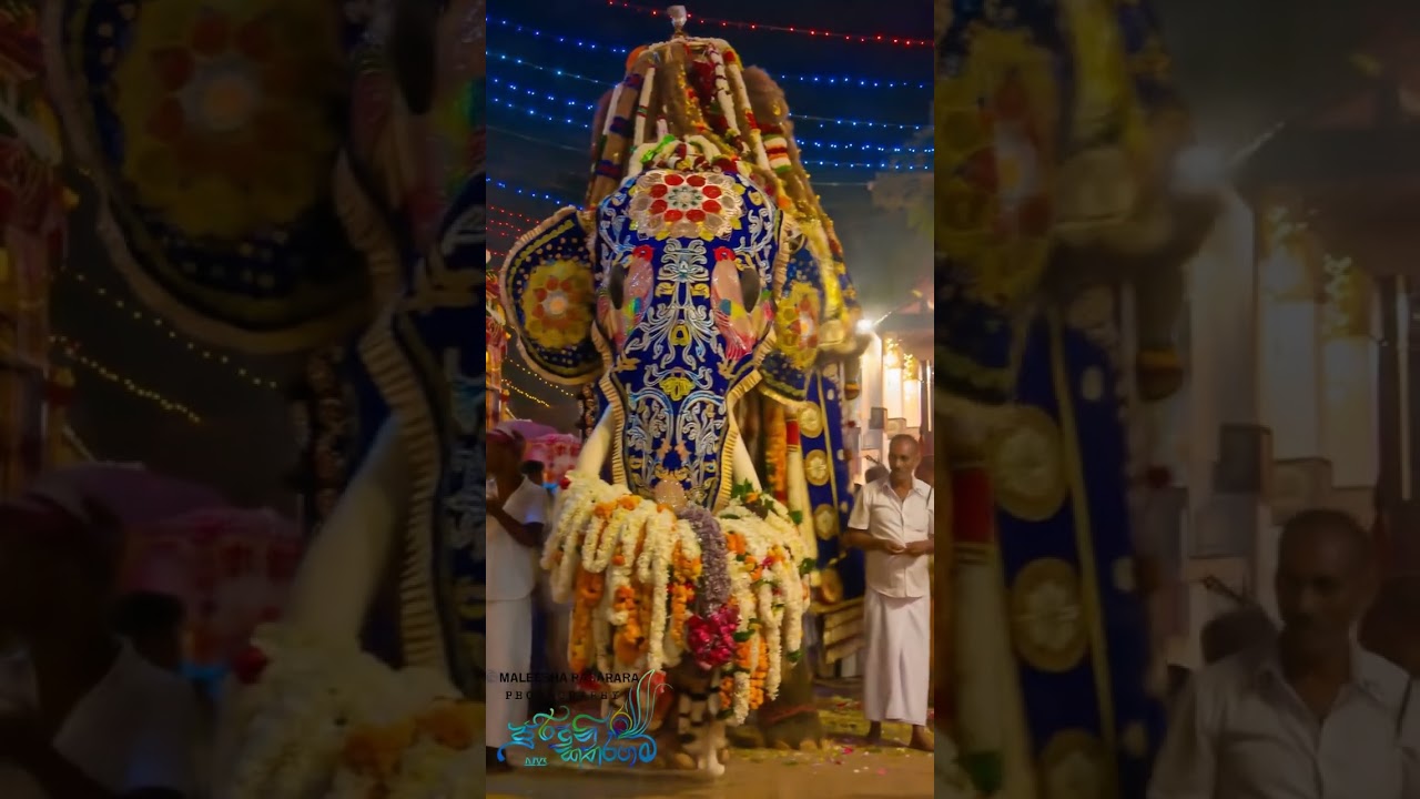 Kataragama Perahera 2025 🐘 