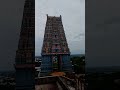 ஓம் முருகா #முருகா #முருகன் #ஆன்மீகம் #devotional #anmeegam