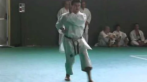 Alberto Pasquini - Kata Gojiushio sho