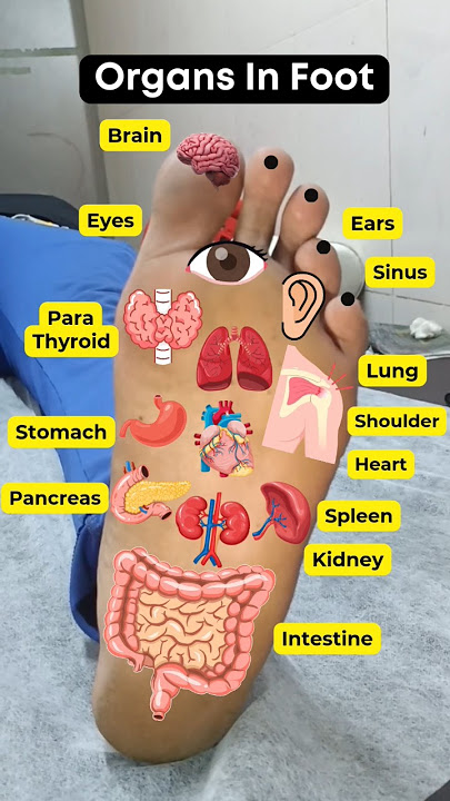 Acupressure Points in Foot #acupressure #acupressurepoints