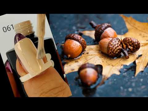 გელ-ლაქი N 061- 00639