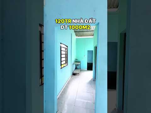 120tr/căn #datngopgiare #sandatngop #bdssaigon #datnengiare #batdongsan #reviewbatdongsan 2023 mới nhất 120tr/căn #datngopgiare #sandatngop #bdssaigon #datnengiare #batdongsan #reviewbatdongsan 2023 mới nhất