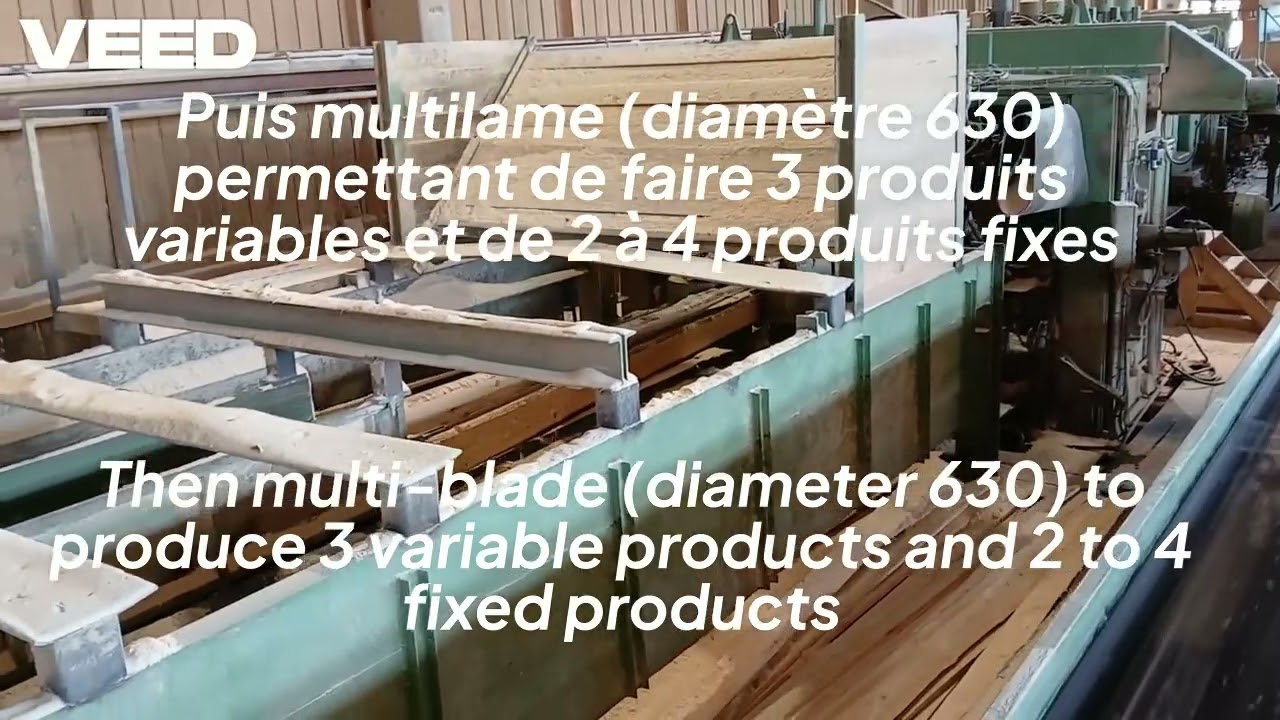 Ligne sciage canter + déligneuse EWD