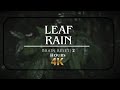 Wet Leaves in the Dark Forest at Night | 2 Hours Deep Sleep | No Music