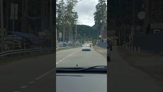Карачаево-Черкессия. Архыз. Дорога на Красную Поляну. Сочи.