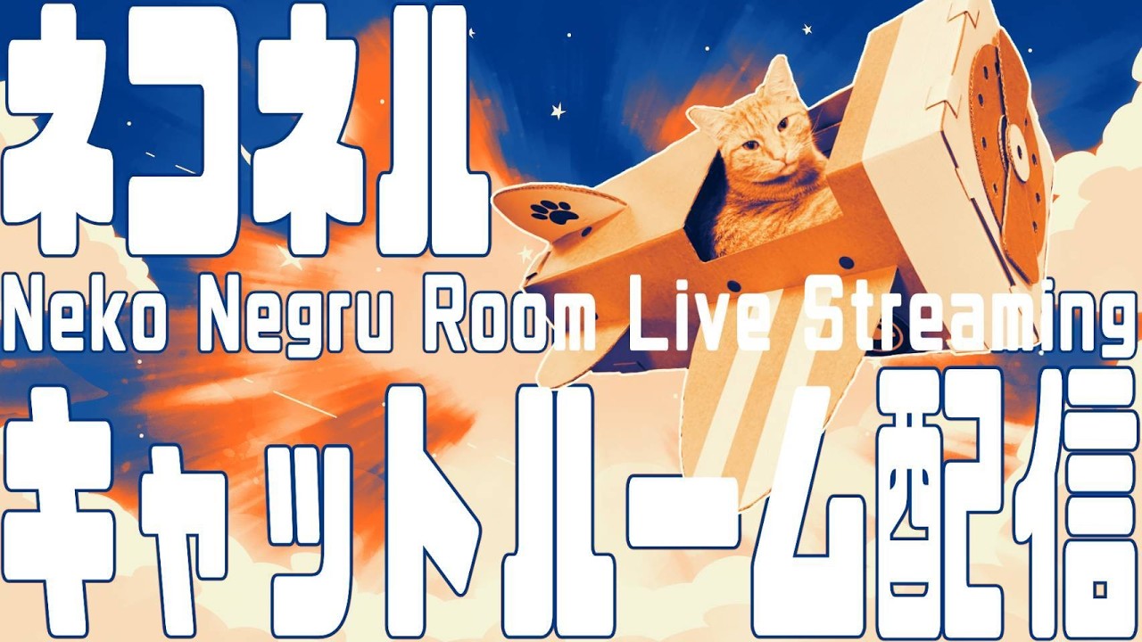 【ネコ・ネル ねこ部屋配信】NN Cat Room Live Streaming 261003