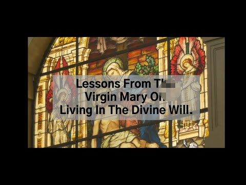 Video Image