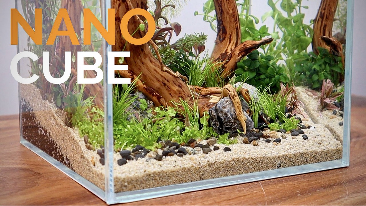 Making a Magical Nano Aquascape