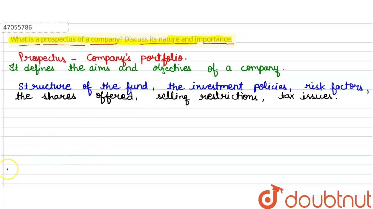 what-is-a-prospectus-of-a-company-discuss-its-nature-and-importance