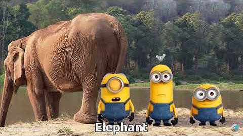 8 Minion Farts sound variations