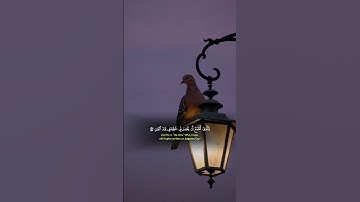 الشيخ ياسر الدوسري سورة الشعراء | (الَّذِي خَلَقَنِي فَهُوَ يَهْدِينِ )