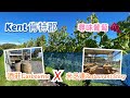 英國尋味葡萄之旅 - 肯特郡 Kent 酒莊 Gusbourne Estate X 兩星米芝蓮餐廳 Restaurant Story