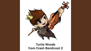 Turtle Woods (From Crash Bandicoot 2)