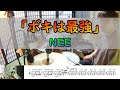 【ボキは最強】  NEE  ドラム