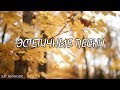 ЭСТЕТИЧНЫЕ ПЕСНИ КОТОРЫЕ ИЩУТ ВСЕ!!!/ SAY BLOGGER