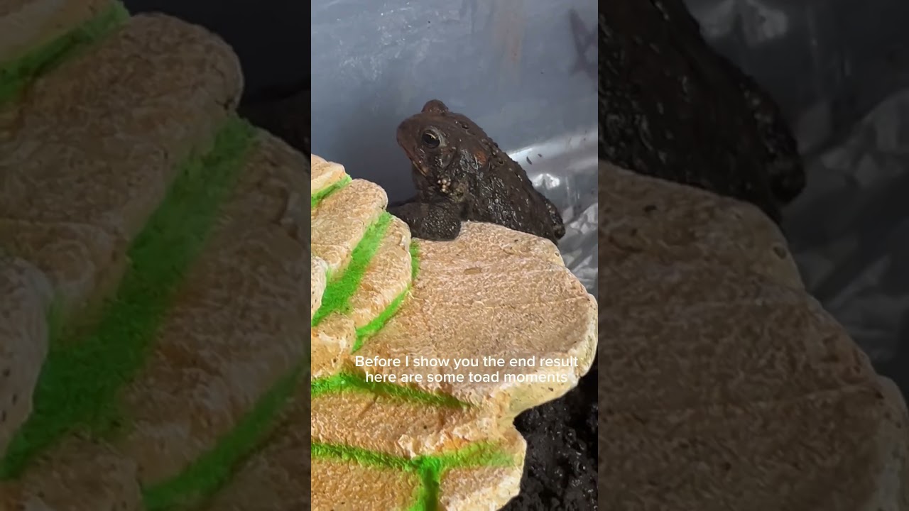 Finally finished it! 