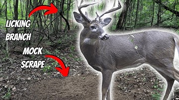 How To Make A Mock Scrape