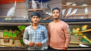 Mumbai's Cheapest Exotic Birds Shop || Suhail bhai