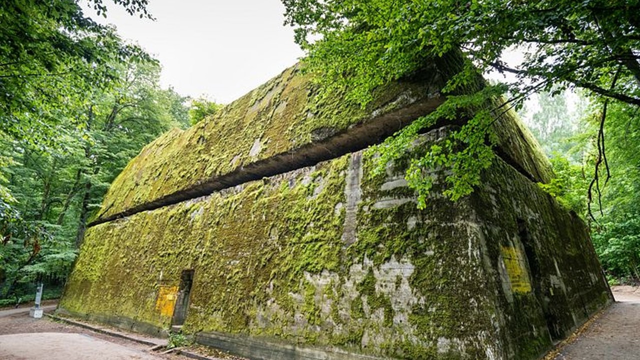 10 Mind Blowing Secret Passages That Actually Exist YouTube