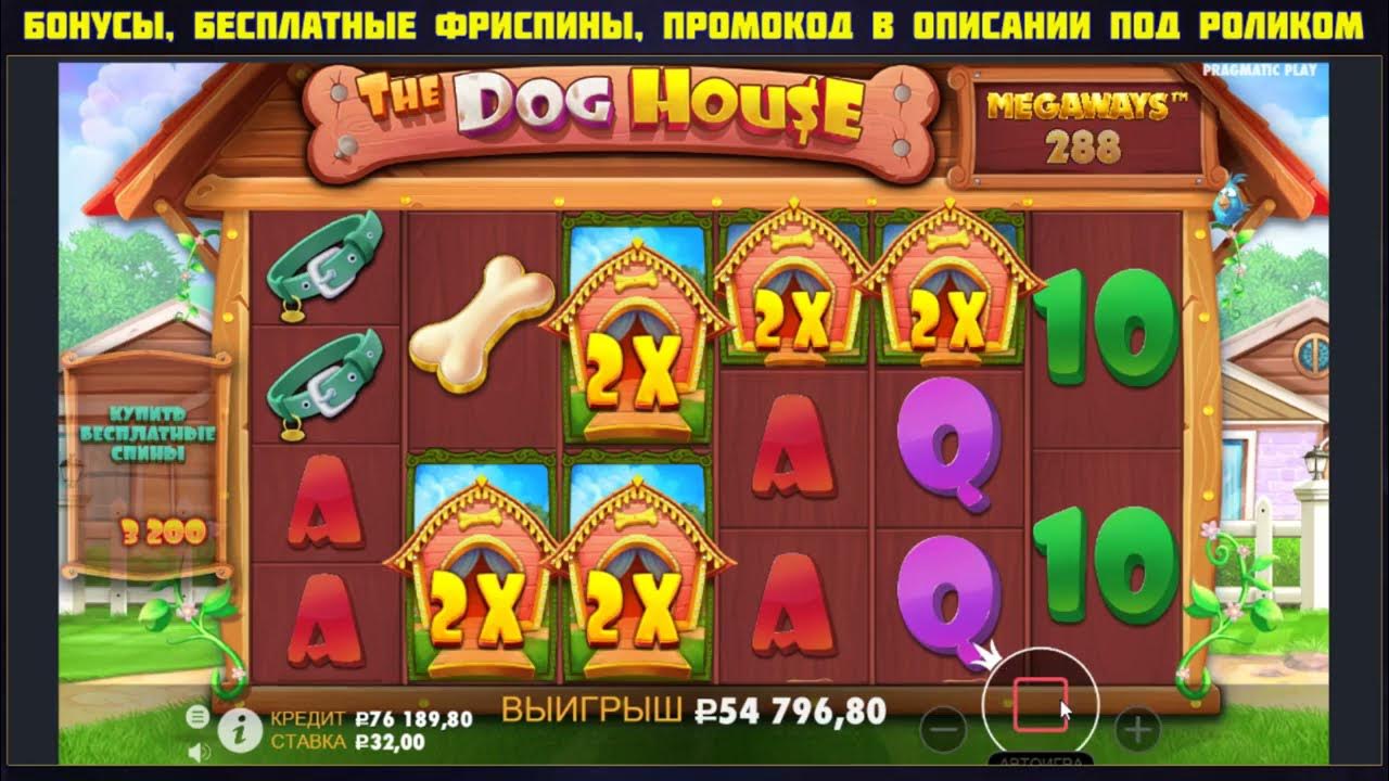 Дог хаус мегавейс dogs house net