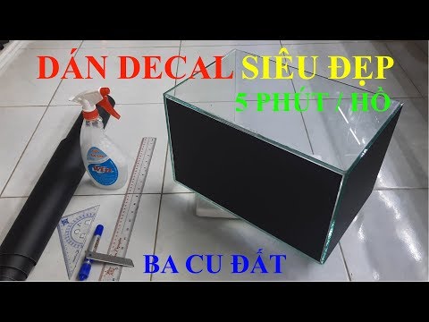 Video: Cách Dán Nền Vào Bể Cá