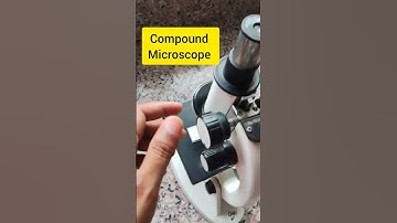 Amoeba 🦠 Binary Fission #subscribe #science #ytshorts #youtubeshorts #biology #trending #support